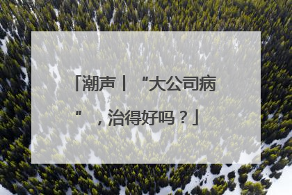 潮声丨“大公司病”，治得好吗？
