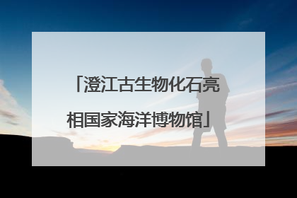 澄江古生物化石亮相国家海洋博物馆