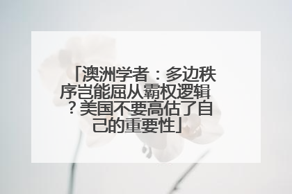 澳洲学者：多边秩序岂能屈从霸权逻辑？美国不要高估了自己的重要性