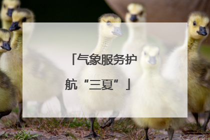 气象服务护航“三夏”
