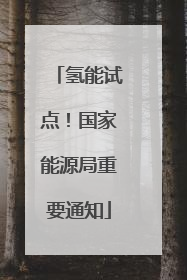 氢能试点！国家能源局重要通知