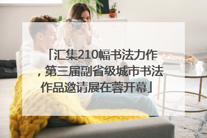 汇集210幅书法力作，第三届副省级城市书法作品邀请展在蓉开幕