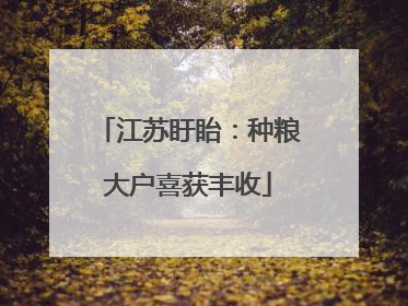江苏盱眙：种粮大户喜获丰收