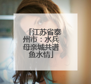 江苏省泰州市：水兵母亲城共谱鱼水情
