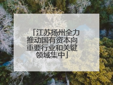 江苏扬州全力推动国有资本向重要行业和关键领域集中