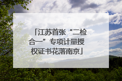 江苏首张“二检合一”专项计量授权证书花落南京