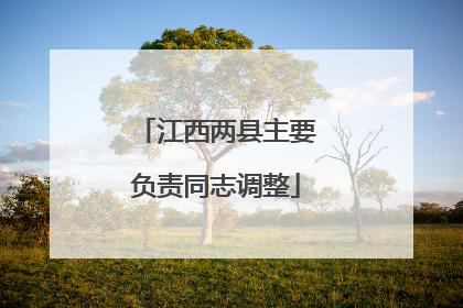 江西两县主要负责同志调整