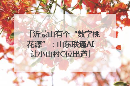 沂蒙山有个“数字桃花源”：山东联通AI让小山村C位出道
