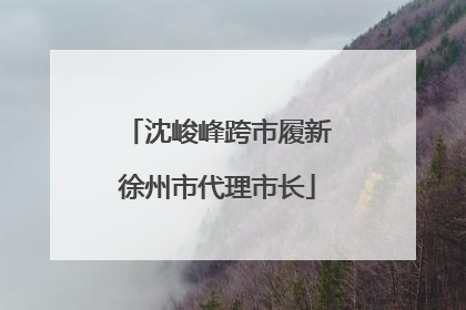 沈峻峰跨市履新徐州市代理市长