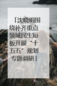 沈晓明围绕补齐重点领域民生短板开展“十五五”规划专题调研
