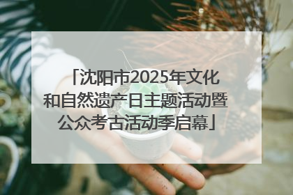 沈阳市2025年文化和自然遗产日主题活动暨公众考古活动季启幕