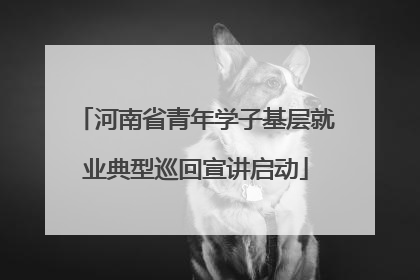 河南省青年学子基层就业典型巡回宣讲启动