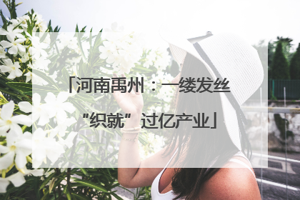 河南禹州：一缕发丝“织就”过亿产业