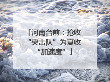 河南台前：抢收“突击队”为夏收“加速度”