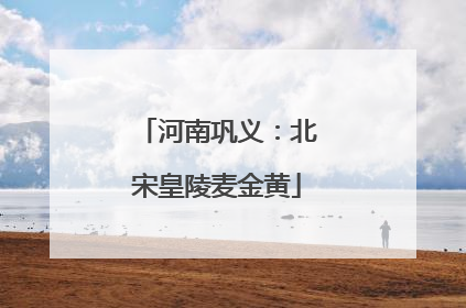 河南巩义：北宋皇陵麦金黄
