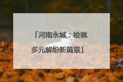 河南永城：绘就多元解纷新篇章