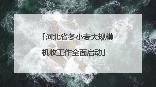 河北省冬小麦大规模机收工作全面启动