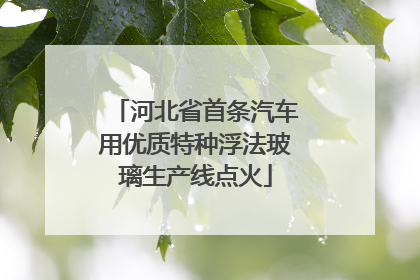 河北省首条汽车用优质特种浮法玻璃生产线点火