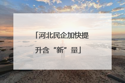 河北民企加快提升含“新”量