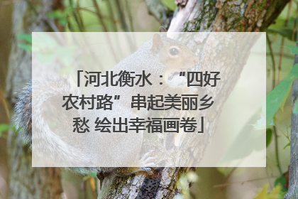 河北衡水：“四好农村路”串起美丽乡愁 绘出幸福画卷
