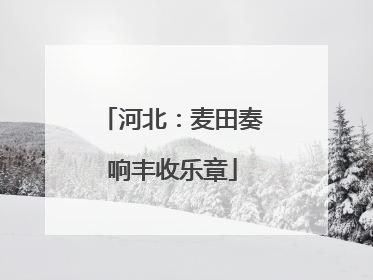 河北：麦田奏响丰收乐章