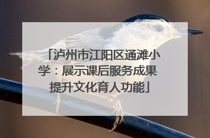 泸州市江阳区通滩小学：展示课后服务成果 提升文化育人功能