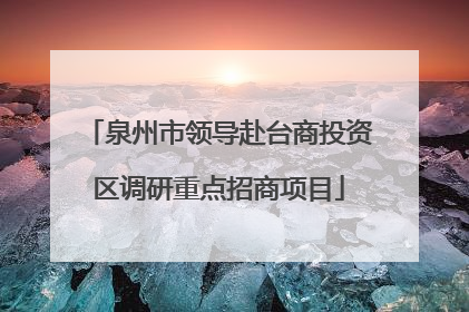 泉州市领导赴台商投资区调研重点招商项目