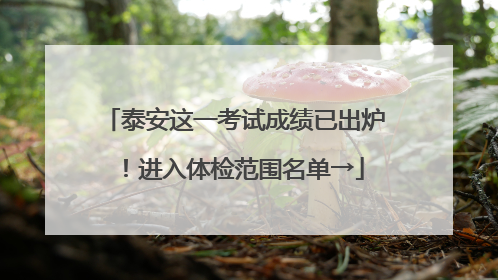 泰安这一考试成绩已出炉！进入体检范围名单→