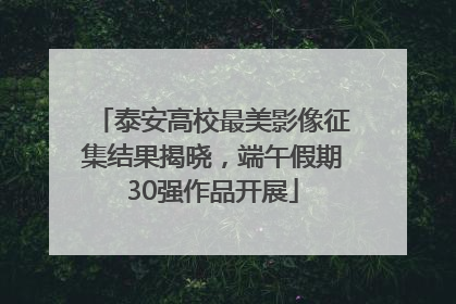 泰安高校最美影像征集结果揭晓，端午假期30强作品开展
