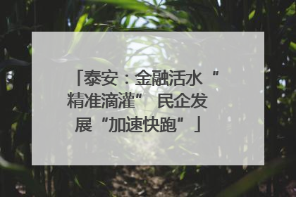 泰安：金融活水“精准滴灌” 民企发展“加速快跑”