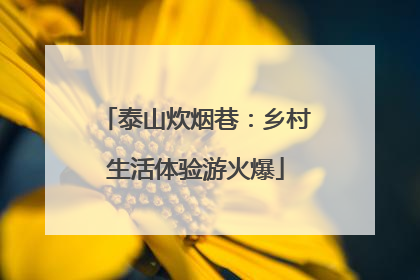泰山炊烟巷：乡村生活体验游火爆