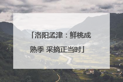 洛阳孟津：鲜桃成熟季 采摘正当时