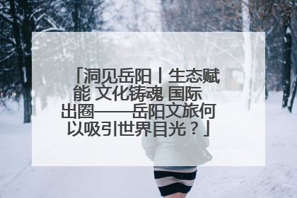 洞见岳阳丨生态赋能 文化铸魂 国际出圈——岳阳文旅何以吸引世界目光？
