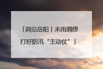 洞见岳阳丨未雨绸缪 打好防汛“主动仗”