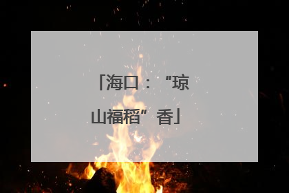 海口：“琼山福稻”香