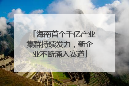 海南首个千亿产业集群持续发力，新企业不断涌入赛道