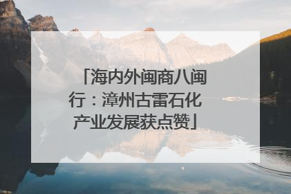海内外闽商八闽行：漳州古雷石化产业发展获点赞