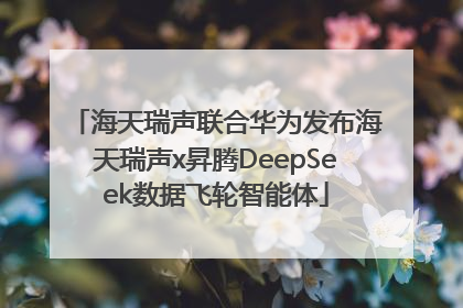 海天瑞声联合华为发布海天瑞声x昇腾DeepSeek数据飞轮智能体
