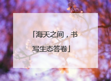 海天之间，书写生态答卷