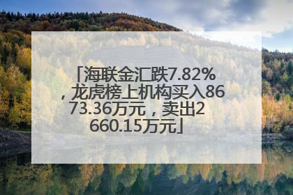 海联金汇跌7.82%，龙虎榜上机构买入8673.36万元，卖出2660.15万元