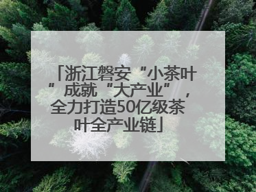 浙江磐安“小茶叶”成就“大产业”，全力打造50亿级茶叶全产业链