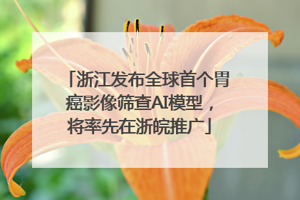 浙江发布全球首个胃癌影像筛查AI模型，将率先在浙皖推广