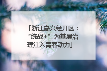 浙江嘉兴经开区：“统战+”为基层治理注入青春动力
