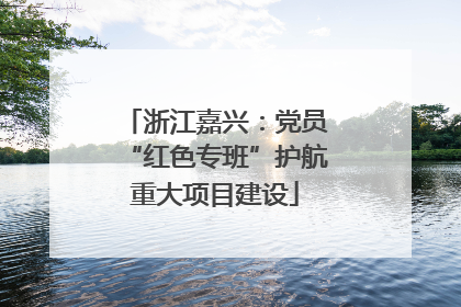 浙江嘉兴：党员“红色专班”护航重大项目建设