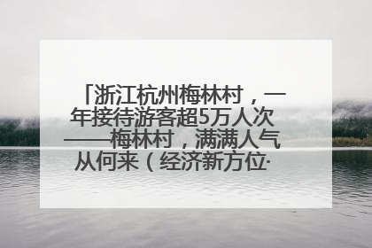 浙江杭州梅林村，一年接待游客超5万人次——梅林村，满满人气从何来（经济新方位·农村消费观察）