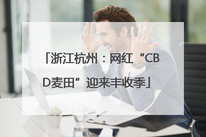 浙江杭州：网红“CBD麦田”迎来丰收季