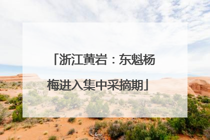 浙江黄岩：东魁杨梅进入集中采摘期