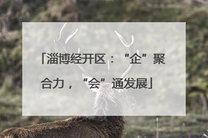 淄博经开区：“企”聚合力，“会”通发展