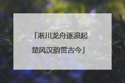 淅川龙舟逐浪起 楚风汉韵贯古今