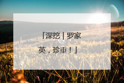 深挖｜罗家英，珍重！